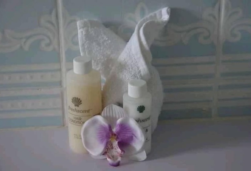 هتل Paradise First