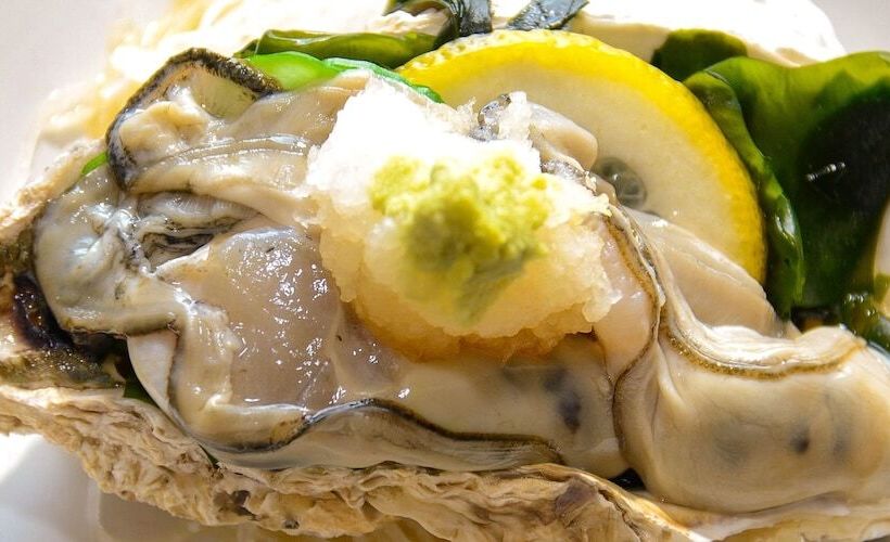 בית מלון כפרי Ryokan Kaikoukan