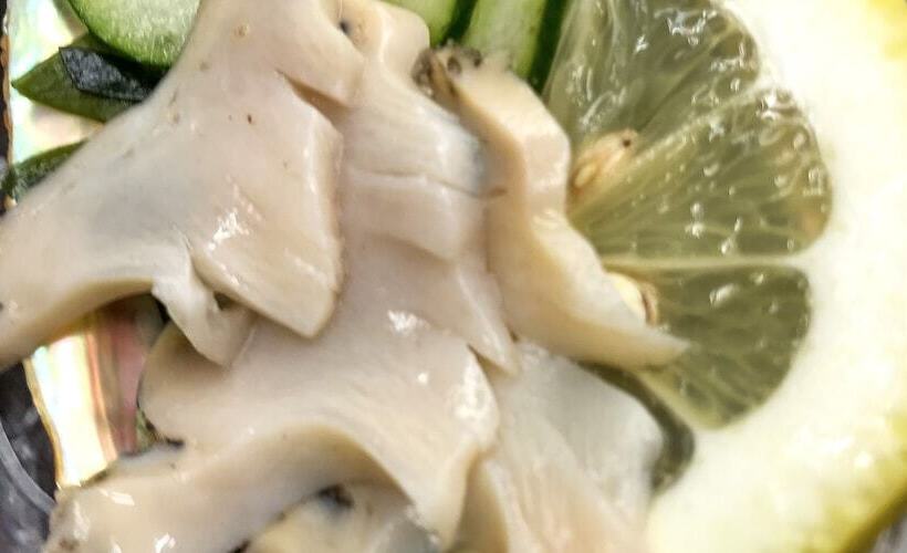 בית מלון כפרי Ryokan Kaikoukan