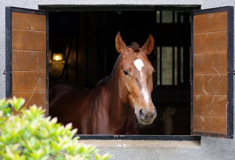 酒店 Ahn Lan Ninghai