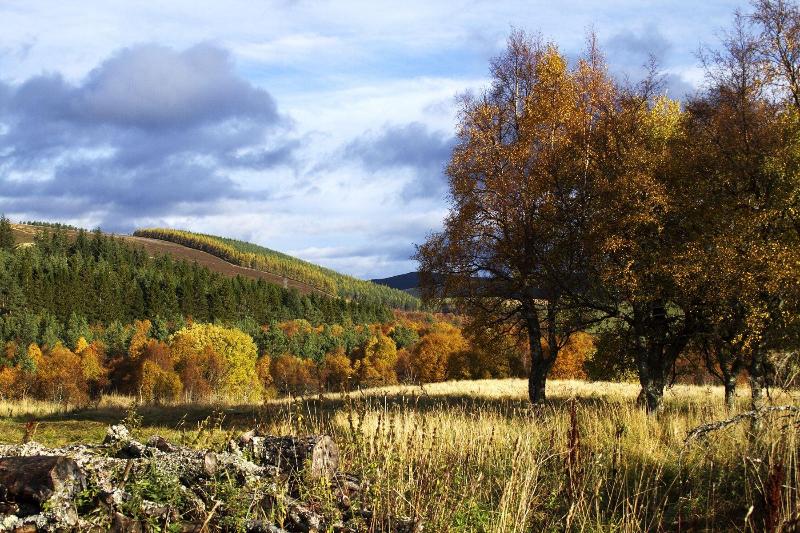 Отель The Smugglers Hostel