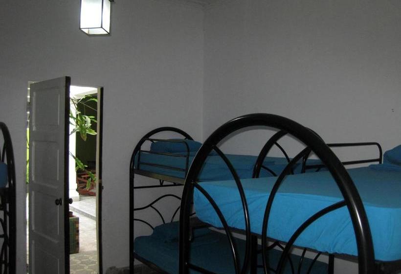 호스텔 Hostal Cumbres Del Volcan Flor Blanca