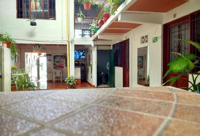 هاستل El Turista