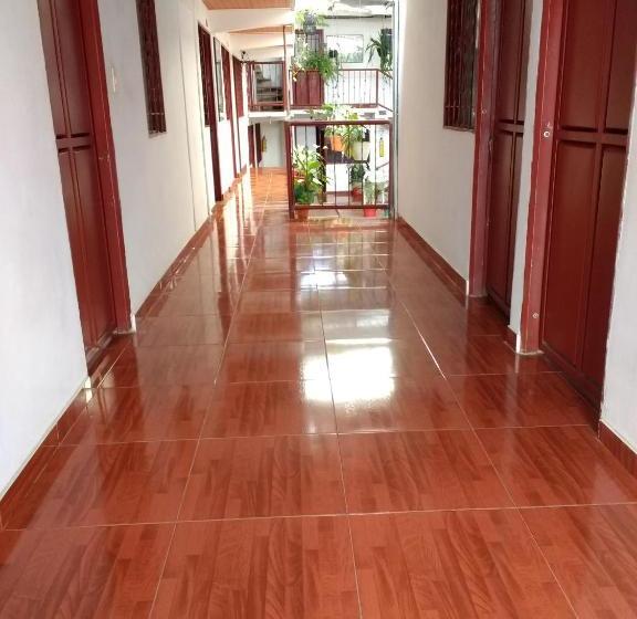 هاستل El Turista