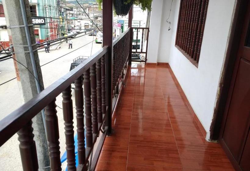 هاستل El Turista