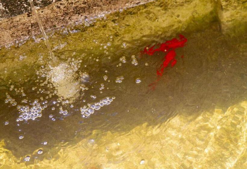 B&b Le Clos D Argenson