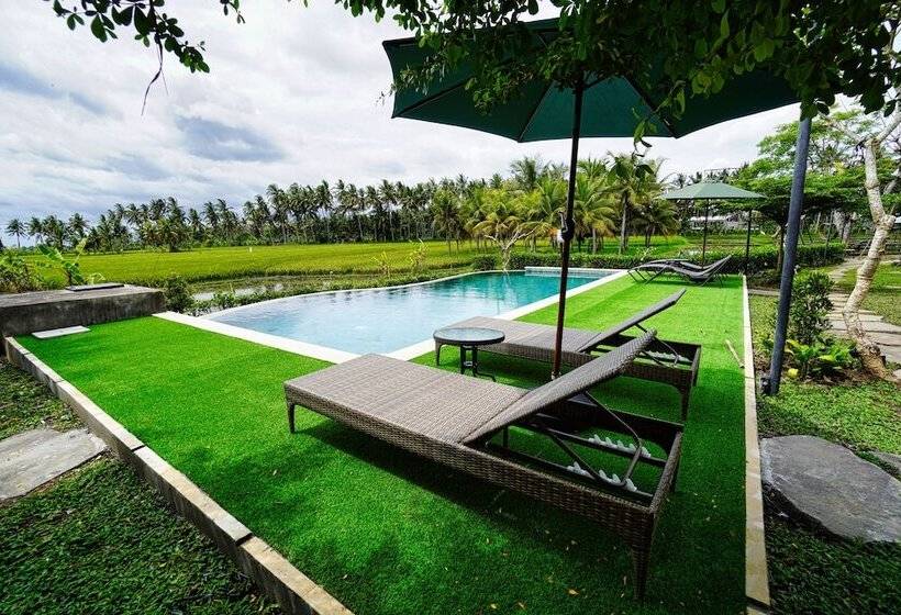 צימר Adil Villa And Resort