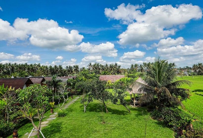 צימר Adil Villa And Resort