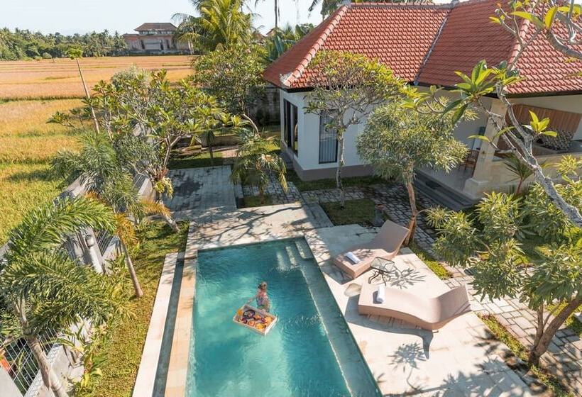 민박 Adil Villa And Resort