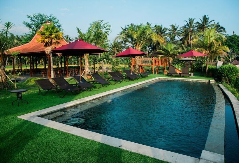 צימר Adil Villa And Resort