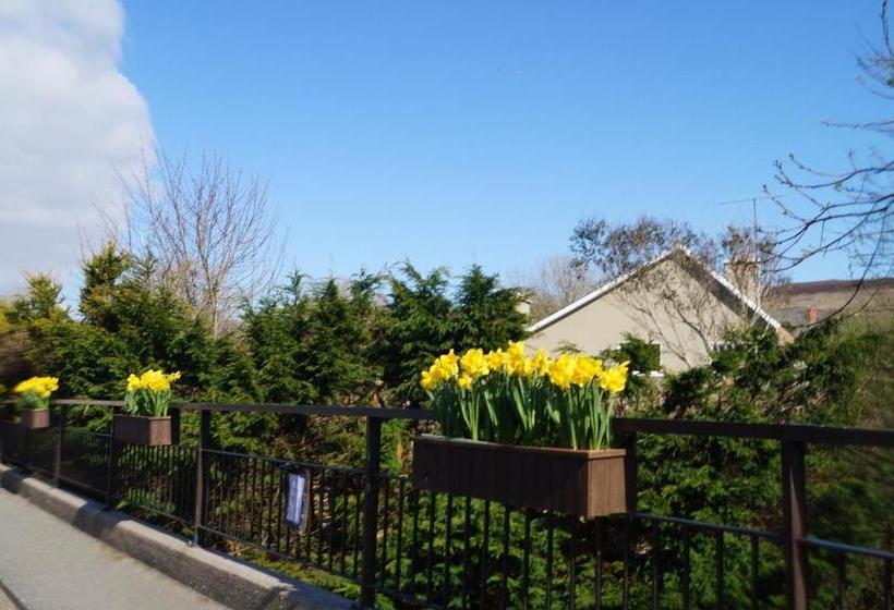 مبيت وإفطار Ardrinane House