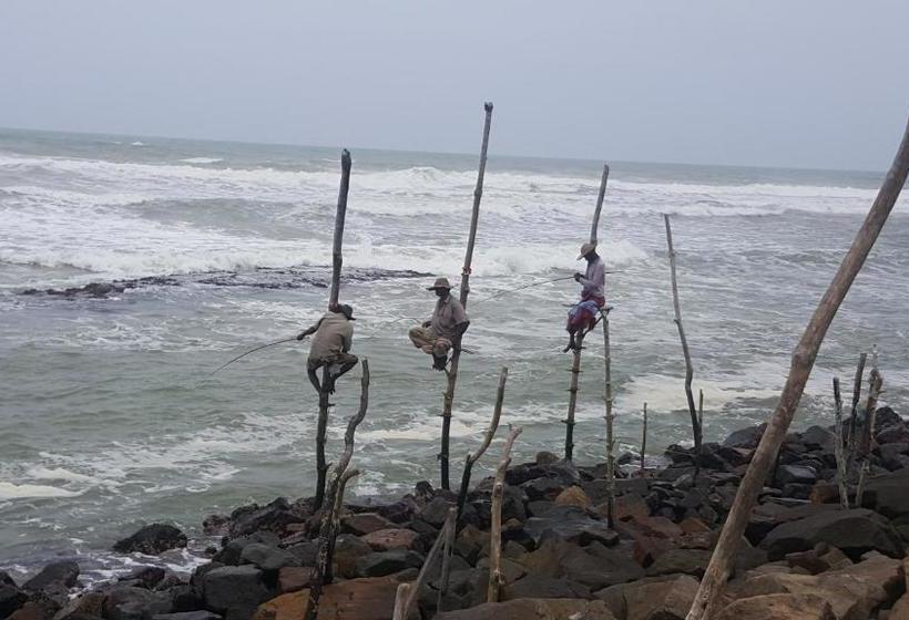 Bed and Breakfast Blue Beach Paradise