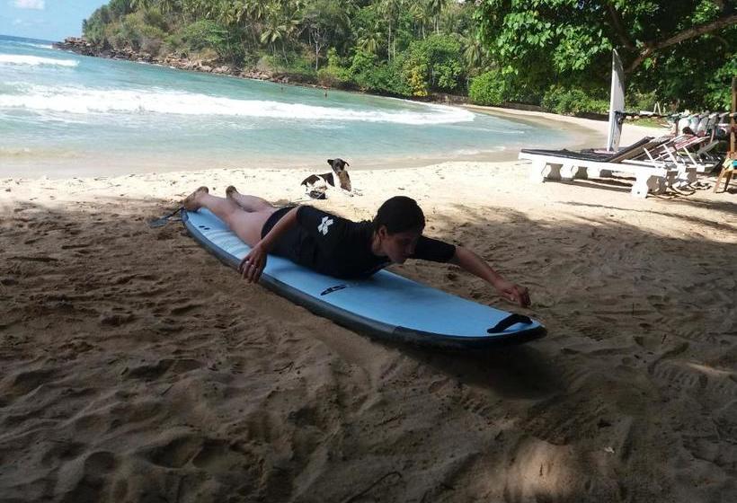 Bed and Breakfast Blue Beach Paradise