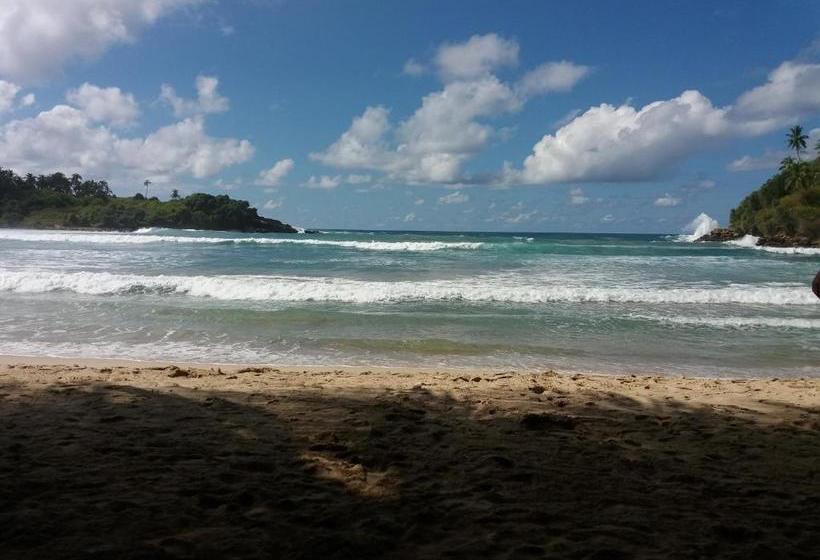 Bed and Breakfast Blue Beach Paradise