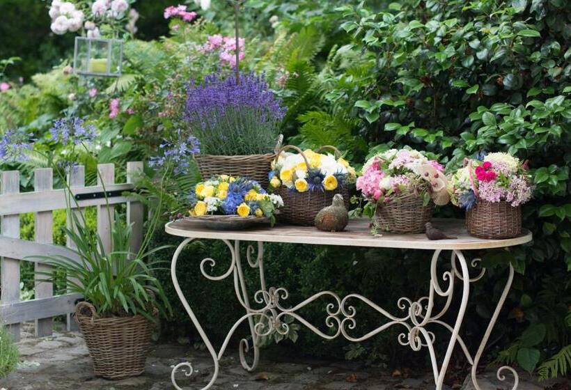 Bed and Breakfast La Roseraie