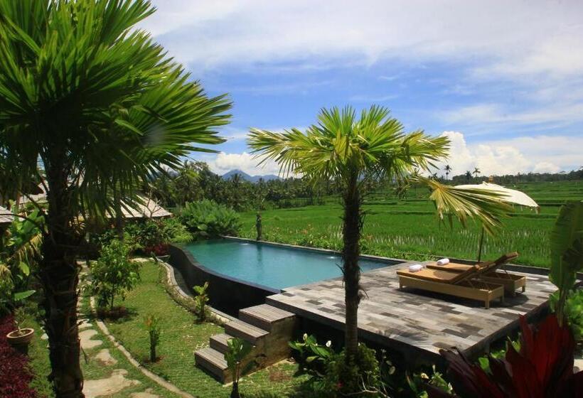 민박 Padi Bali Retreat