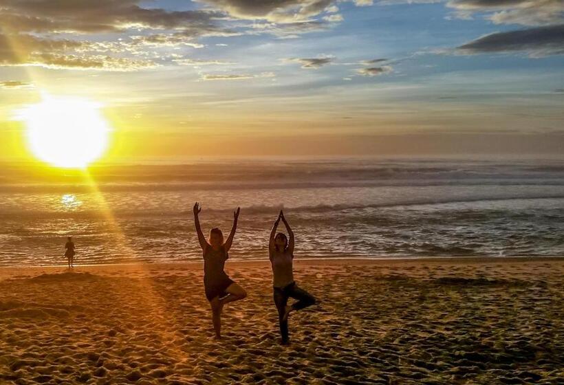 Bed and Breakfast Wood N Sea Surf Lodge   Auberge De Jeunesse