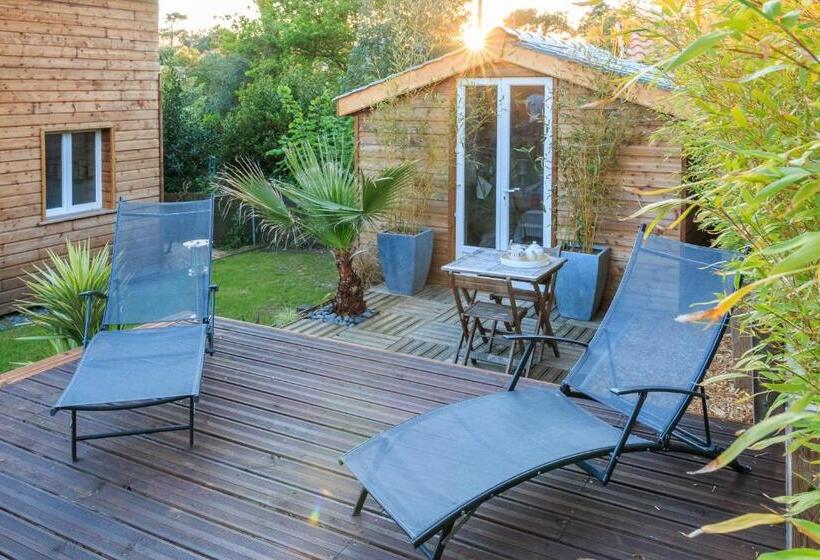 Bed and Breakfast Wood N Sea Surf Lodge   Auberge De Jeunesse