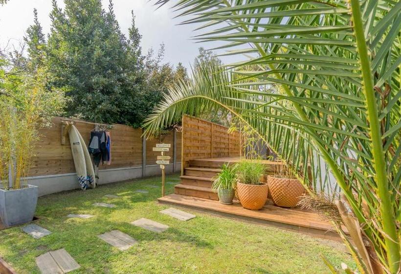 Bed and Breakfast Wood N Sea Surf Lodge   Auberge De Jeunesse