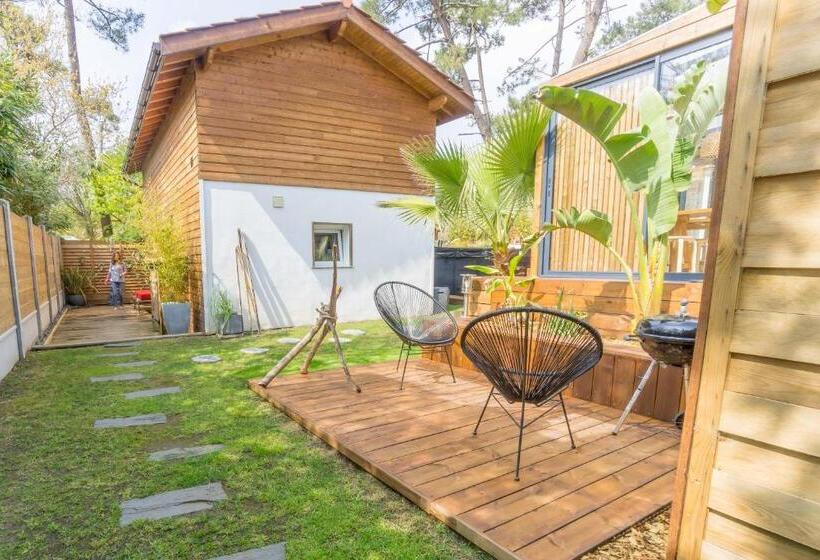 Bed and Breakfast Wood N Sea Surf Lodge   Auberge De Jeunesse