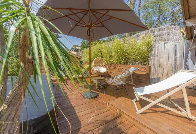 Bed and Breakfast Wood N Sea Surf Lodge   Auberge De Jeunesse