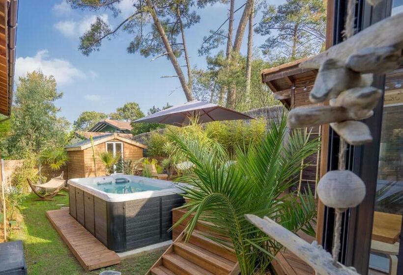 Bed and Breakfast Wood N Sea Surf Lodge   Auberge De Jeunesse