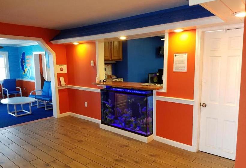 Cape Cod Family Resort And Parks