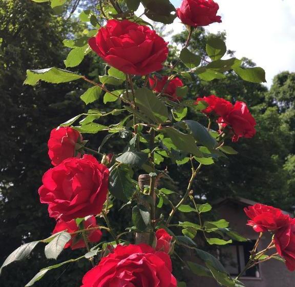 여관 Agriturismo Da Ninoti