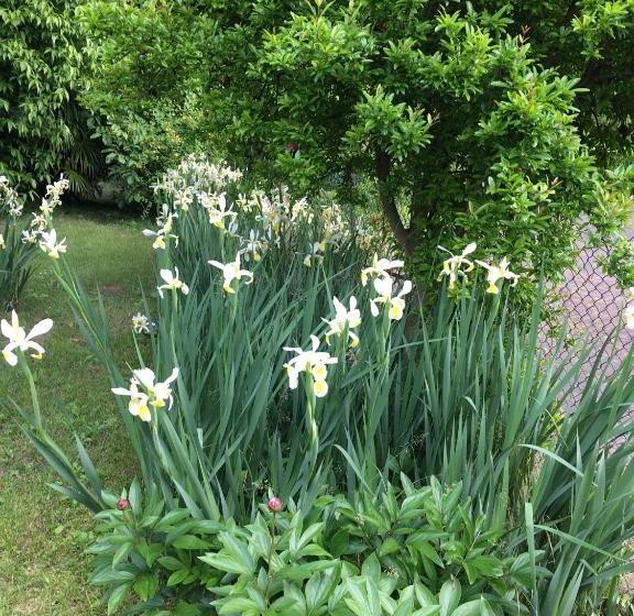 여관 Agriturismo Da Ninoti