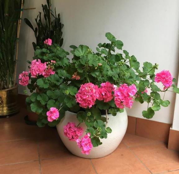 여관 Agriturismo Da Ninoti