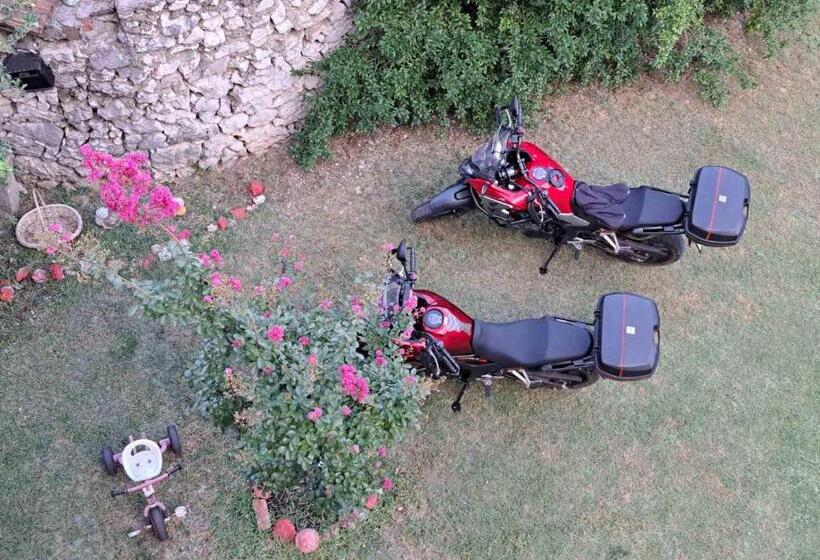 فندق فئة نجمة واحدة Pansion Ponte