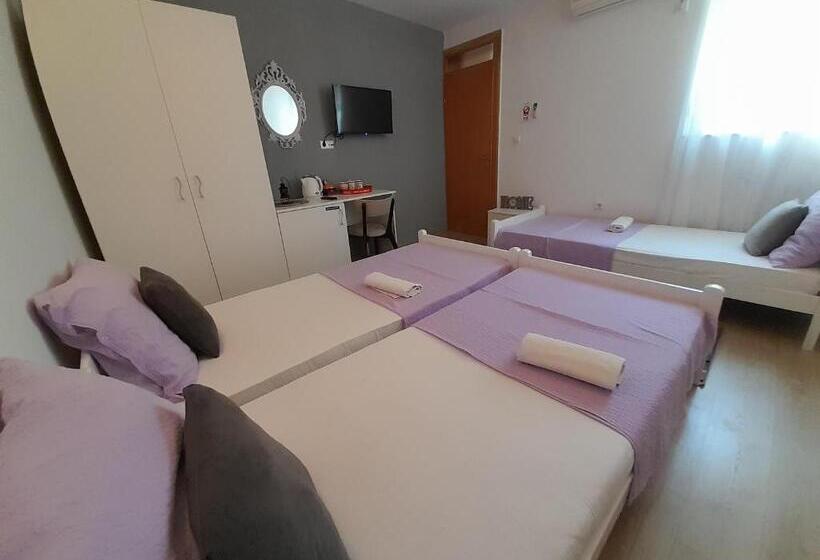 فندق فئة نجمة واحدة Pansion Ponte