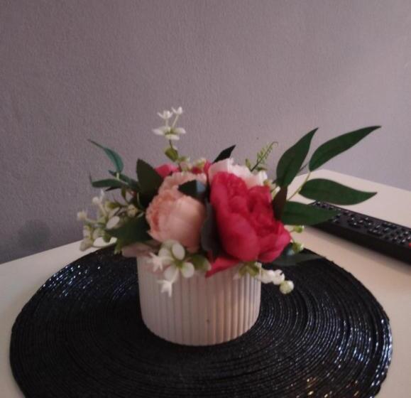 فندق فئة نجمة واحدة Pansion Ponte