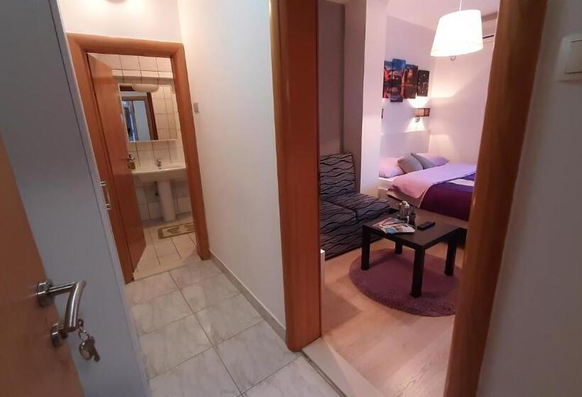 فندق فئة نجمة واحدة Pansion Ponte