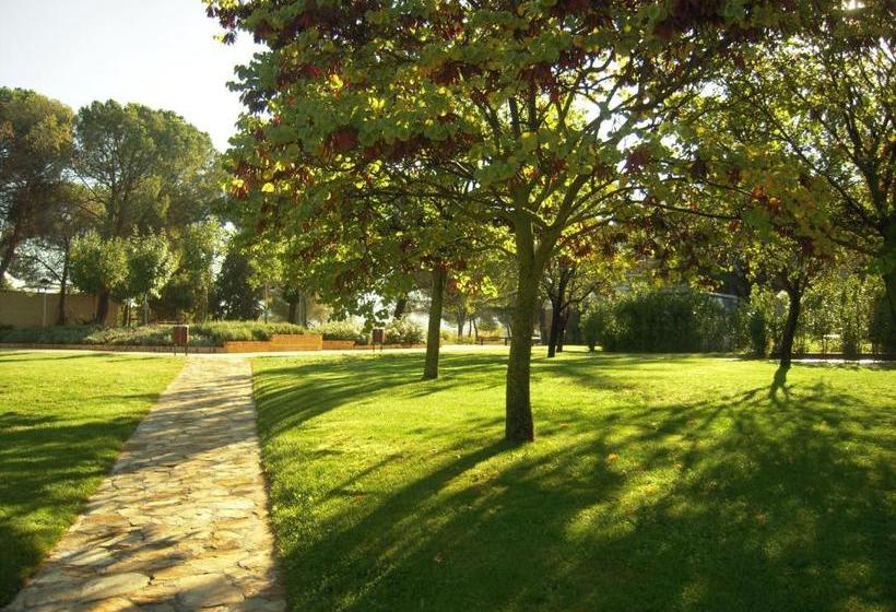 簡易ホテル Residencia Universitaria Cardenal Cisneros