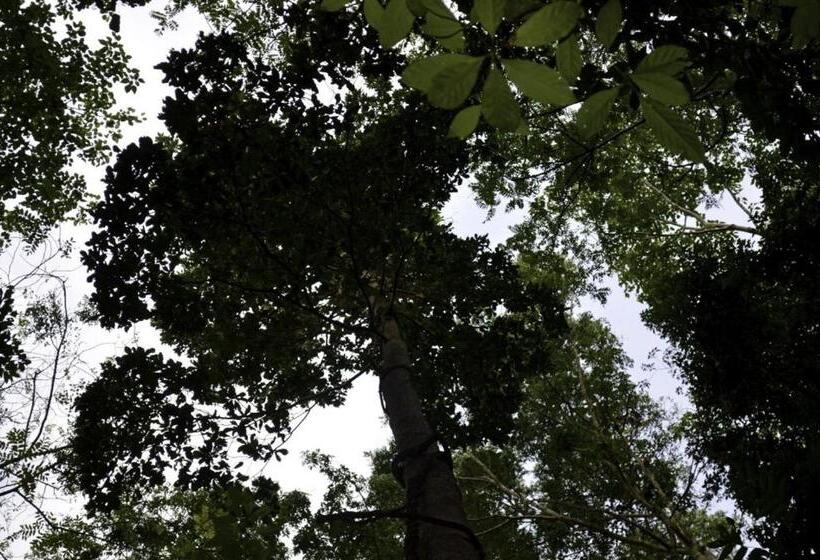 פונדק Tangkoko Sanctuary Villa