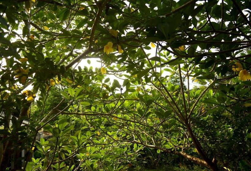 פונדק Tangkoko Sanctuary Villa