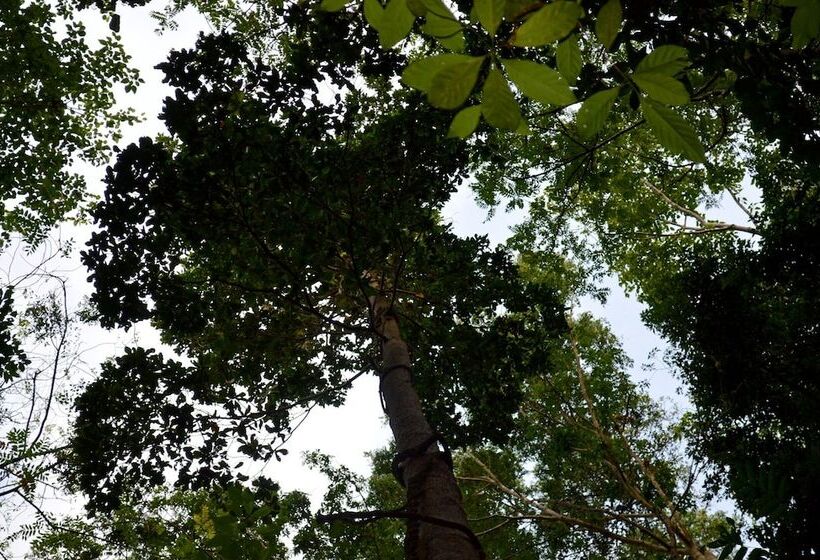 פונדק Tangkoko Sanctuary Villa