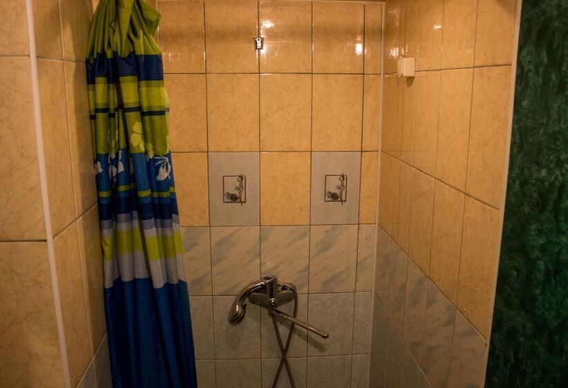 فندق فئة نجمة واحدة U Svetlany