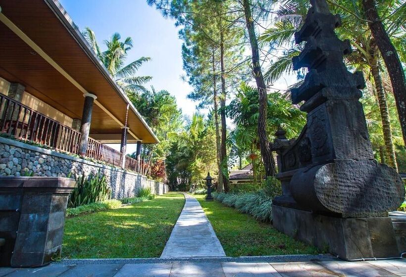 客栈  Villa Grand Artos