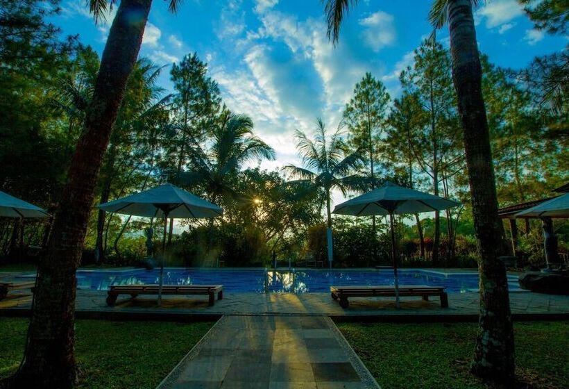 客栈  Villa Grand Artos