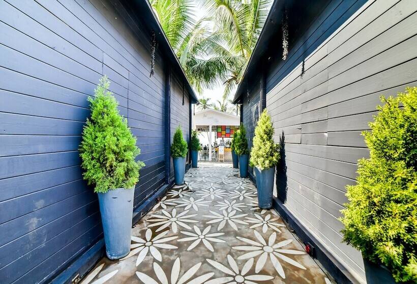 酒店 Casa Playa Comforts