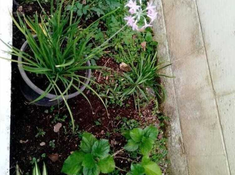 فندق Happy House