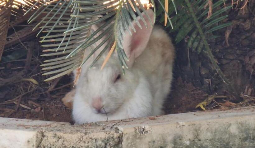 酒店 Lucky Beach Resort