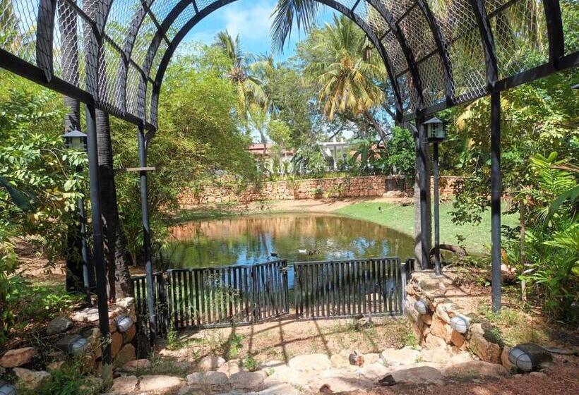 Отель Lucky Beach Resort