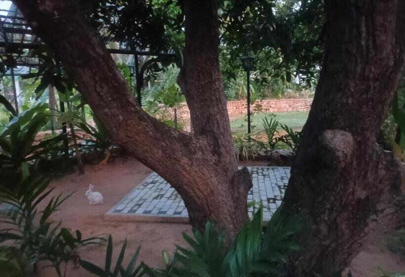 酒店 Lucky Beach Resort