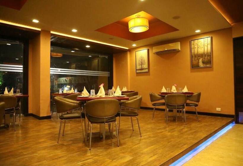 Отель Patang Residency
