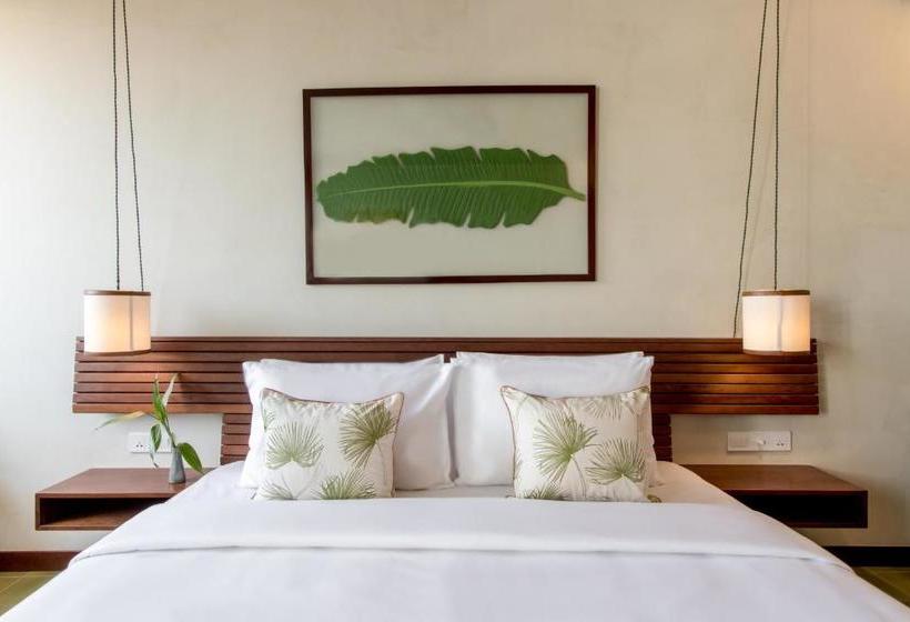 בית מלון כפרי Penh House