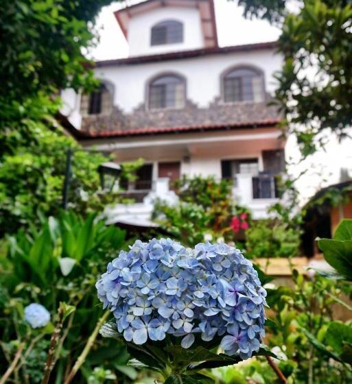 호텔 & Restaurant Fleur De Lis