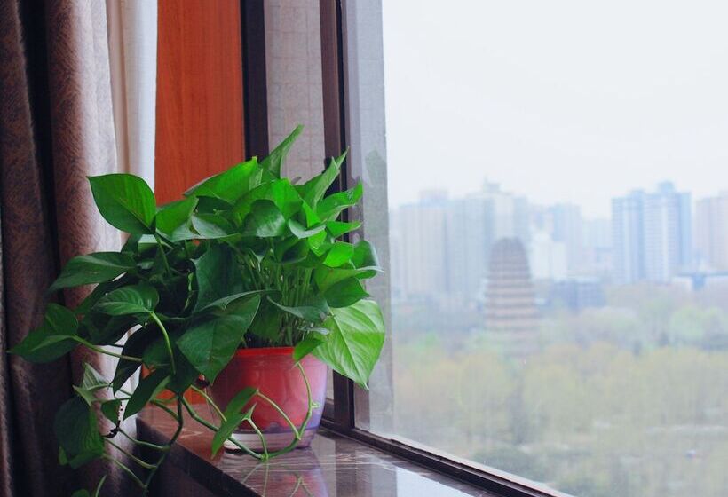 فندق Xian Guotai Grand